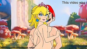Princess Peach And The Super Mario Brothers