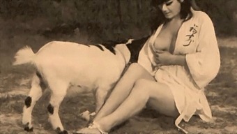 Classic Taboo: A Vintage Erotic Experience With Furry And Wet Play