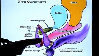 European Tutor Teaches You How To Make A Girl Squirt In This Homemade Video